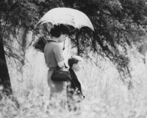 careful-umbrella.jpg